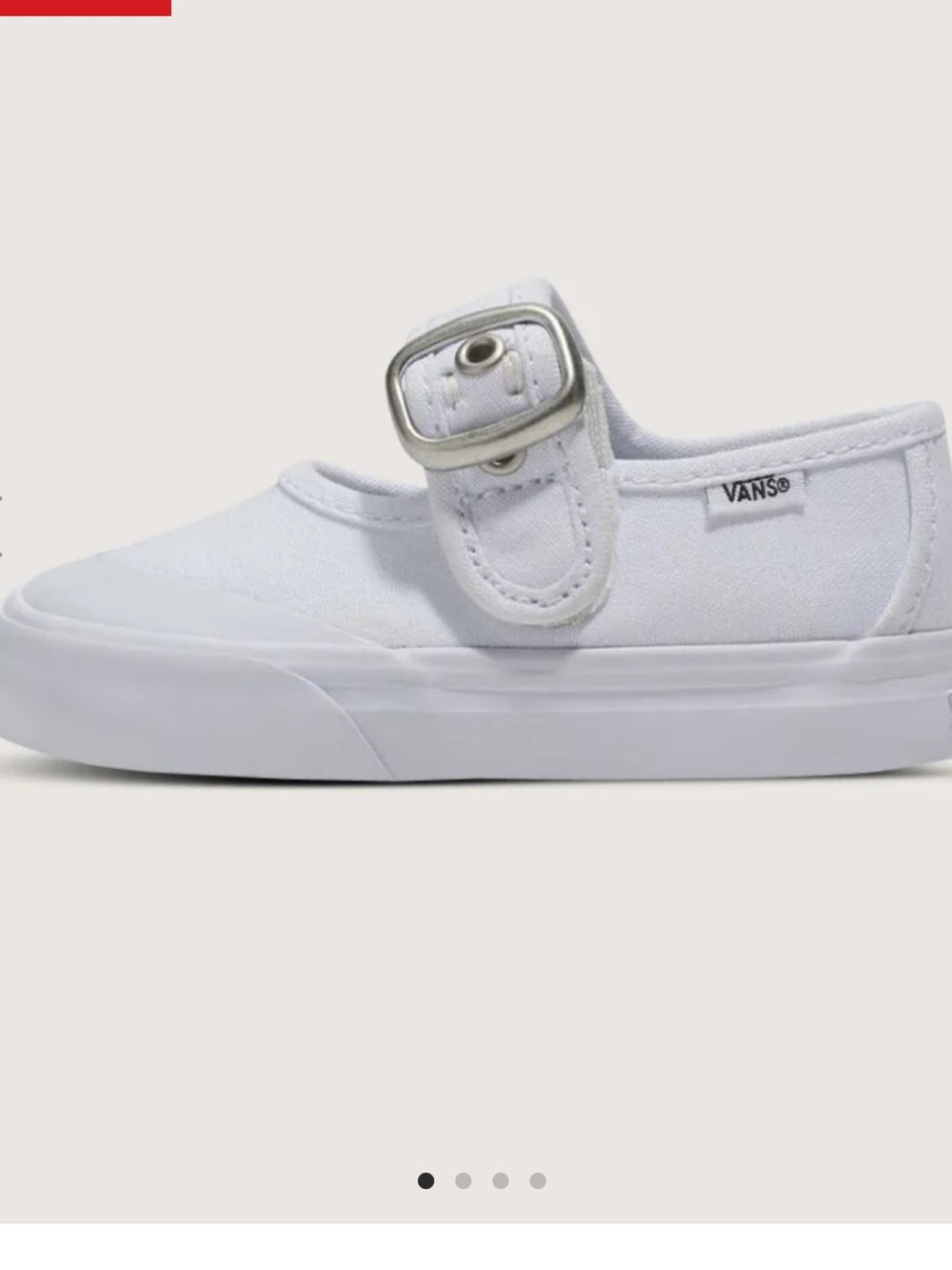 Vans Mary Jane Canvas Shoes.